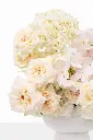 2023-06-12_BLISS_01-10.webp