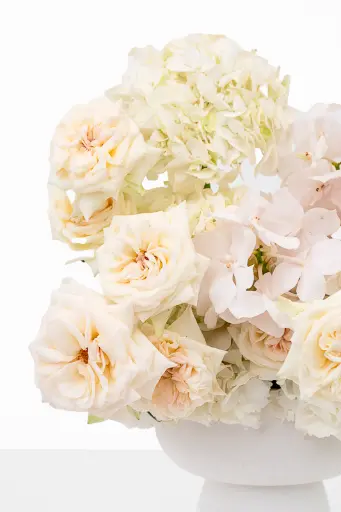 2023-06-12_BLISS_01-10.webp