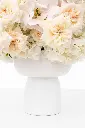 2023-06-12_BLISS_01-9.webp