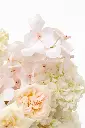 2023-06-12_BLISS_01-11.webp
