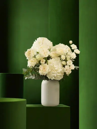 Bliss-1353.webp