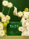 MINTED VANILLA DREAM (1).webp
