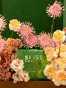 SUNSET SORBET.webp