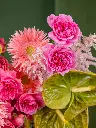 GUAVA SHERBET (2).webp