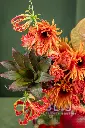 RAMBUTAN  MERINGUE (2).webp