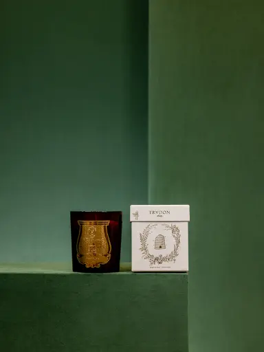 TRUDON - CIRE SCENTED CANDLE - 270g (1).webp