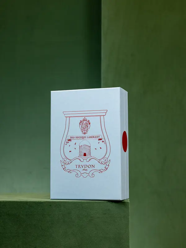 TRUDON - ROOM SPRAY 375ML (2).webp