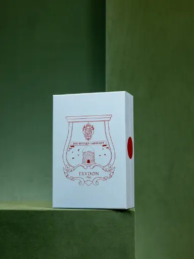 TRUDON - ROOM SPRAY 375ML (2).webp