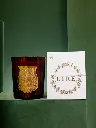 TRUDON - CIRE SCENTED CANDLE - 2.8KG.webp