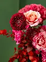 2025-05-24_MMQ-59.webp