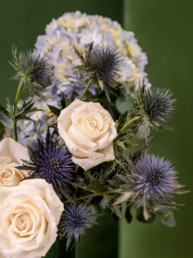 2025-05-24_MMQ-69.webp