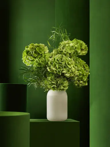 Bliss-1265.webp