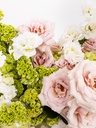 Fleur Citron Vanille