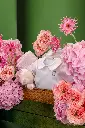 2025-09-30_BLISS_02-5.webp