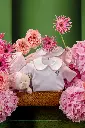 2025-09-30_BLISS_02-2.webp
