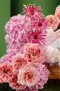 2025-09-30_BLISS_02-3.webp