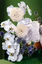 2025-09-30_BLISS_04-4.webp
