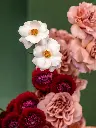 006-3.webp