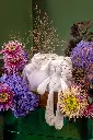 2025-09-30_BLISS_01-7.webp