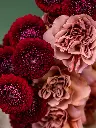 006-5.webp