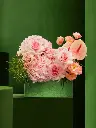 ROSE SOUFFLE