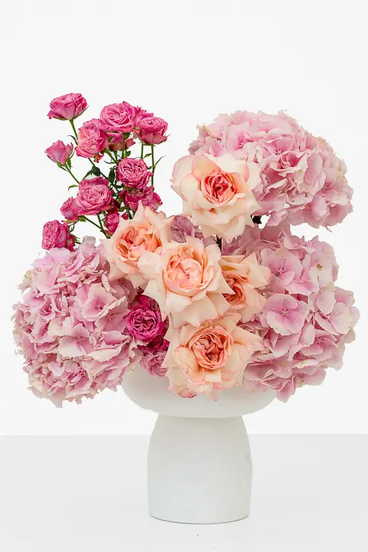 بيبي بينك كانديفلوس - ترتيب مزهرية