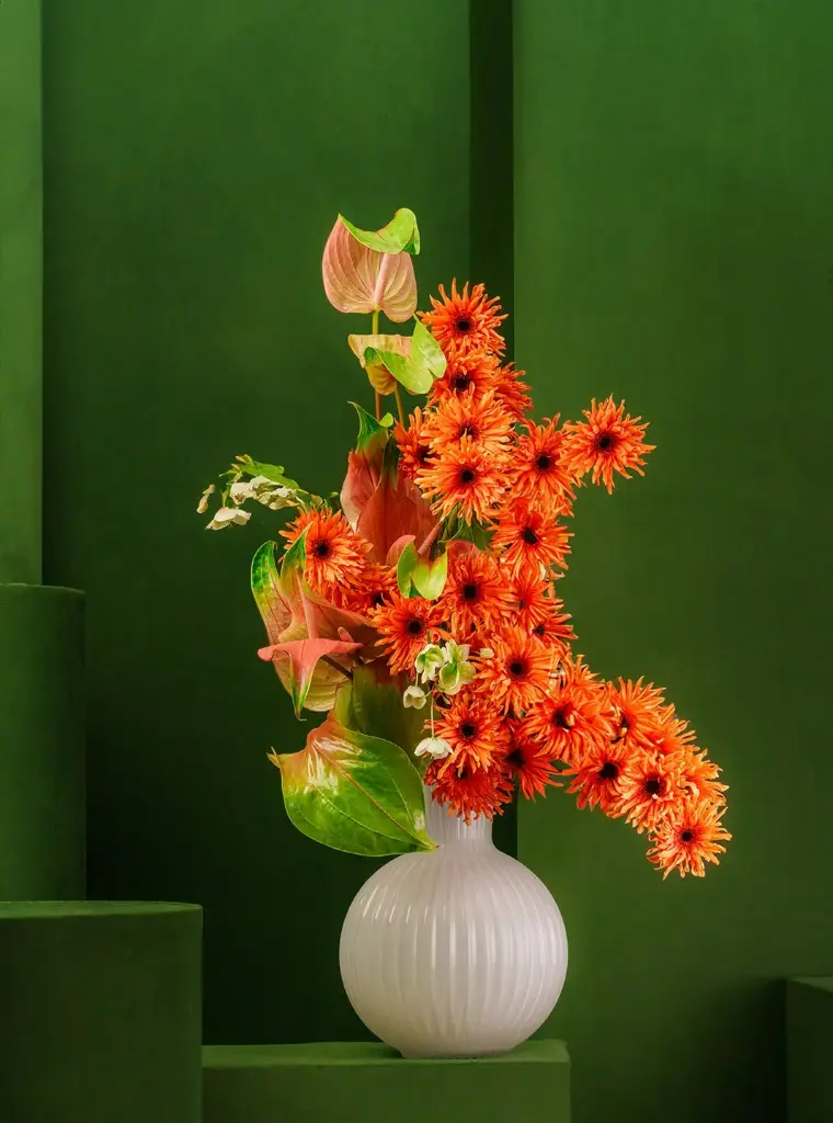 QAMAR AL-DIN PUDDING