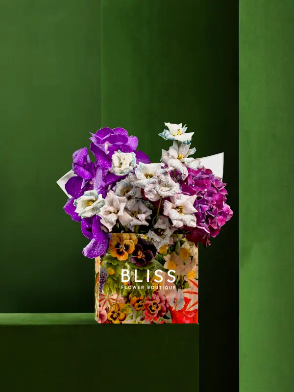 STRACCIATELLA MAQUI CHEESECAKE