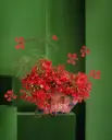 Inferno