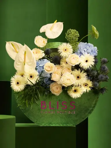 تشيز كيك بالتوت الأزرق