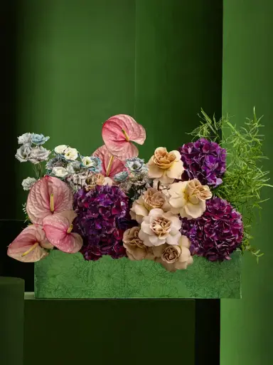 سولتد كراميل آساي