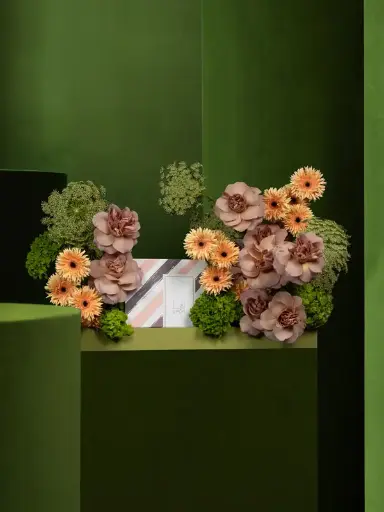 فطيرة بورا بورا بالمكاديميا