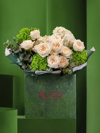 آبيز مينك