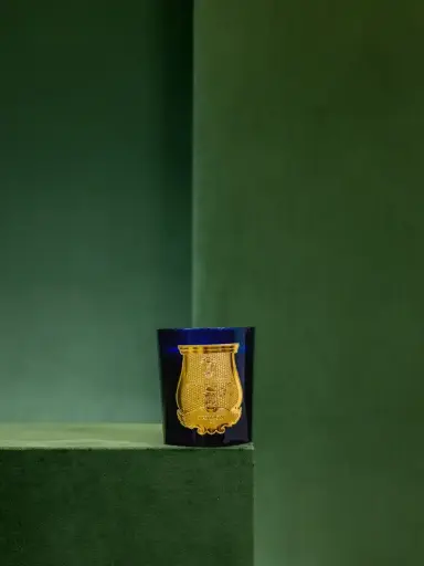 TRUDON - LES BELLES MATIERES CANDLE - 270g