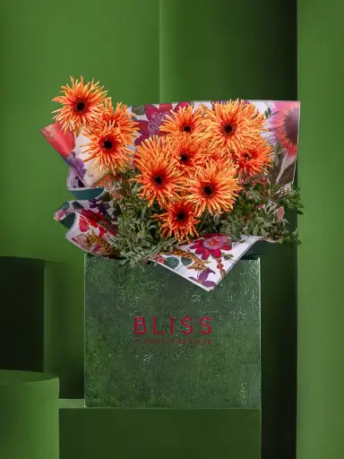 كاكتوس كريم سوربيه