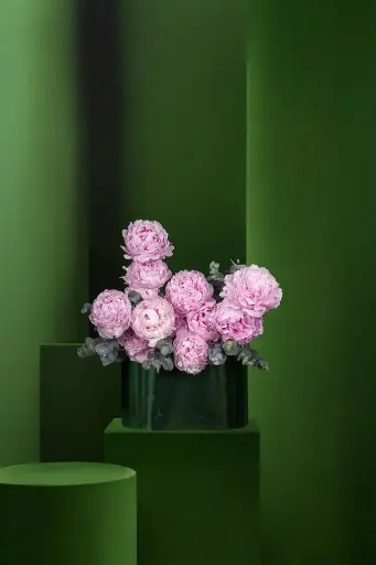 CHERRY BLOSSOM TORTE