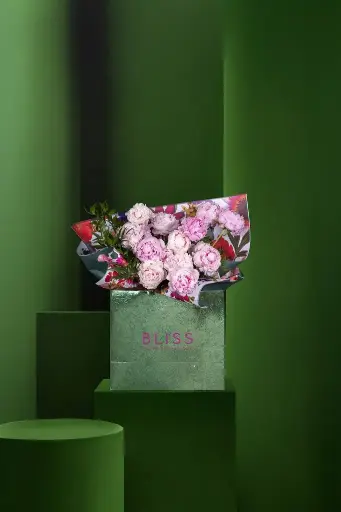 DRAGON FRUIT CHIFFON CAKE